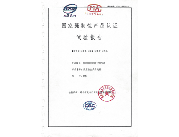 MNS試驗(yàn)報(bào)告1
